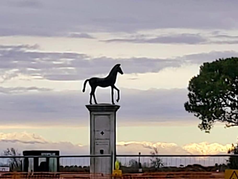 Appartamento Con Vista A Cavallino Venezia Экстерьер фото